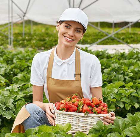 Gallery Organic food is very popular and good for health these days.