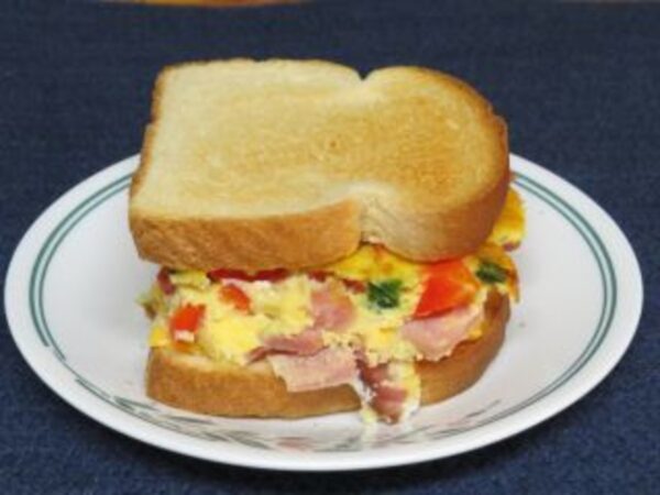 DAYLIN CAFE WESTERN SANDWICH