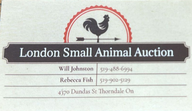LONDON SMALL ANIMAL AUCTION