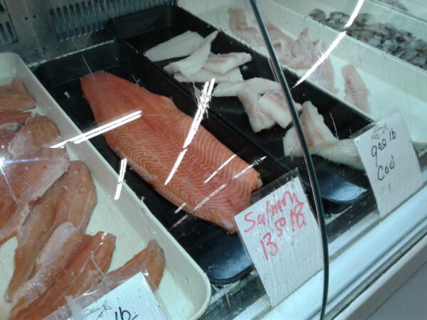 salmon cod scaled