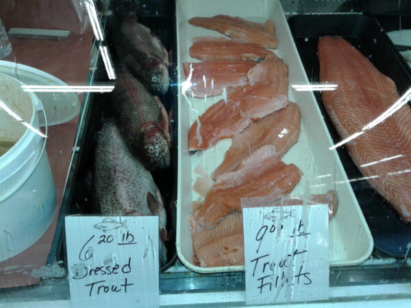trout scaled