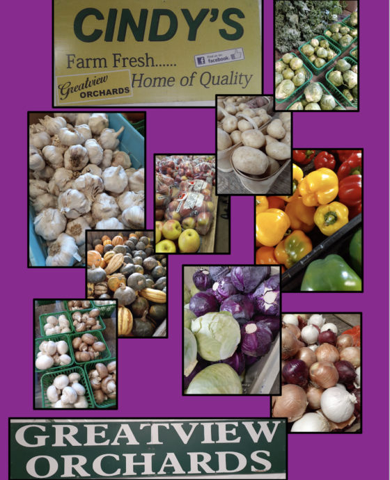 cindys farm fresh greatview orchards feb 2023 ad