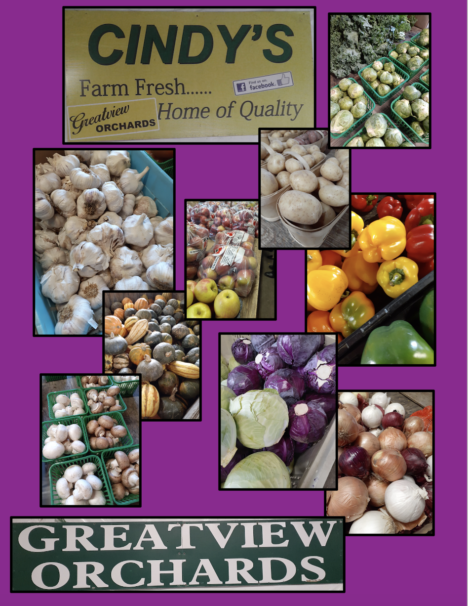 cindys farm fresh greatview orchards feb 2023 ad