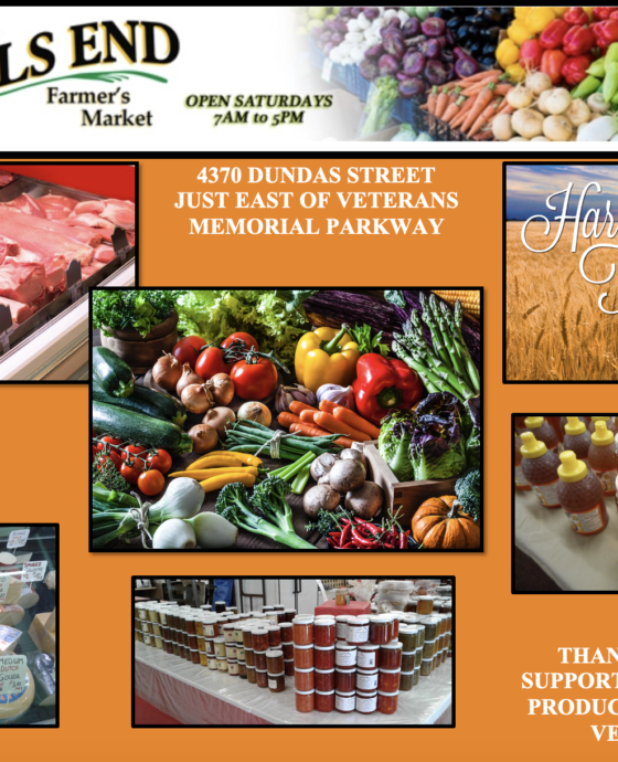 market ad for sept oct harvest time