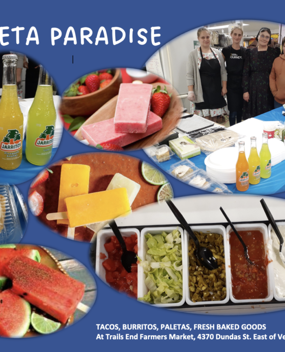 paleta paradise composite