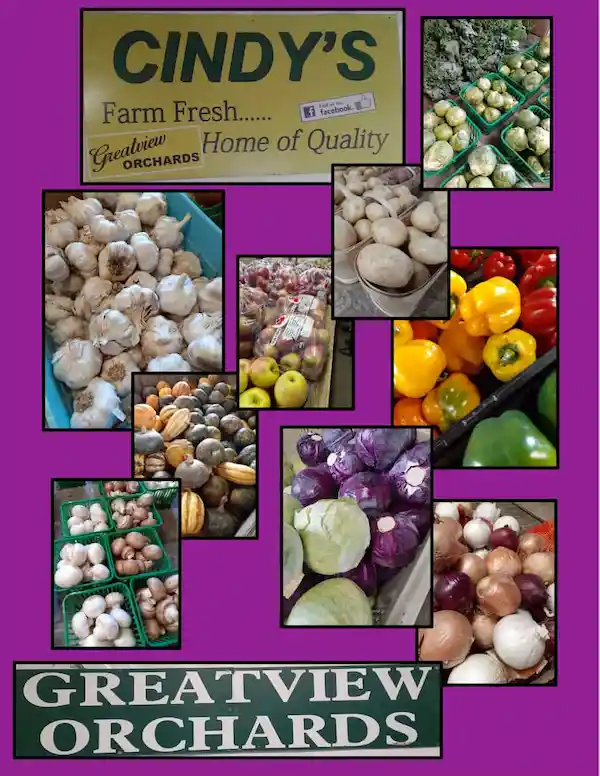 cindys farm fresh greatview orchards feb 2023 ad