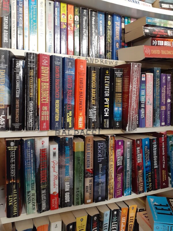 adult novels 2