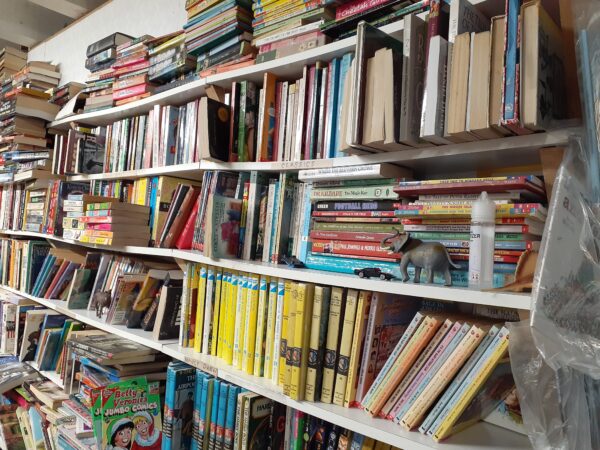 childrens novels
