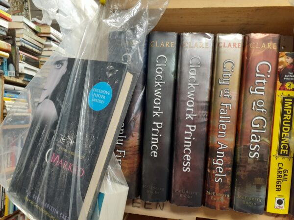 young adult novels