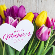 Greeting card Pink and yellow tulips on a wooden background