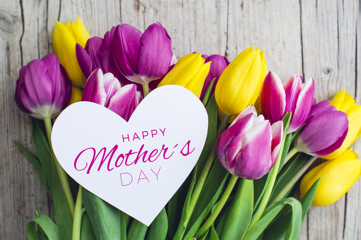 Greeting card Pink and yellow tulips on a wooden background