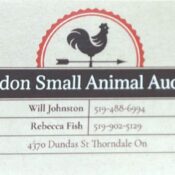 LONDON SMALL ANIMAL AUCTION