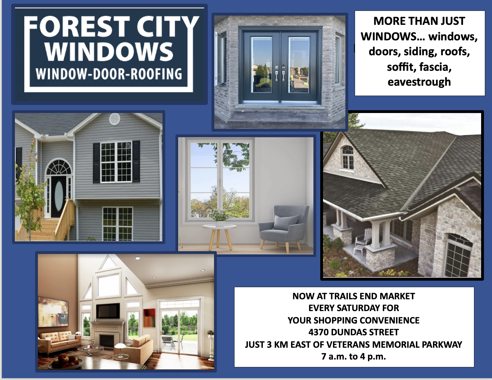 forest city windows landscape jpeg