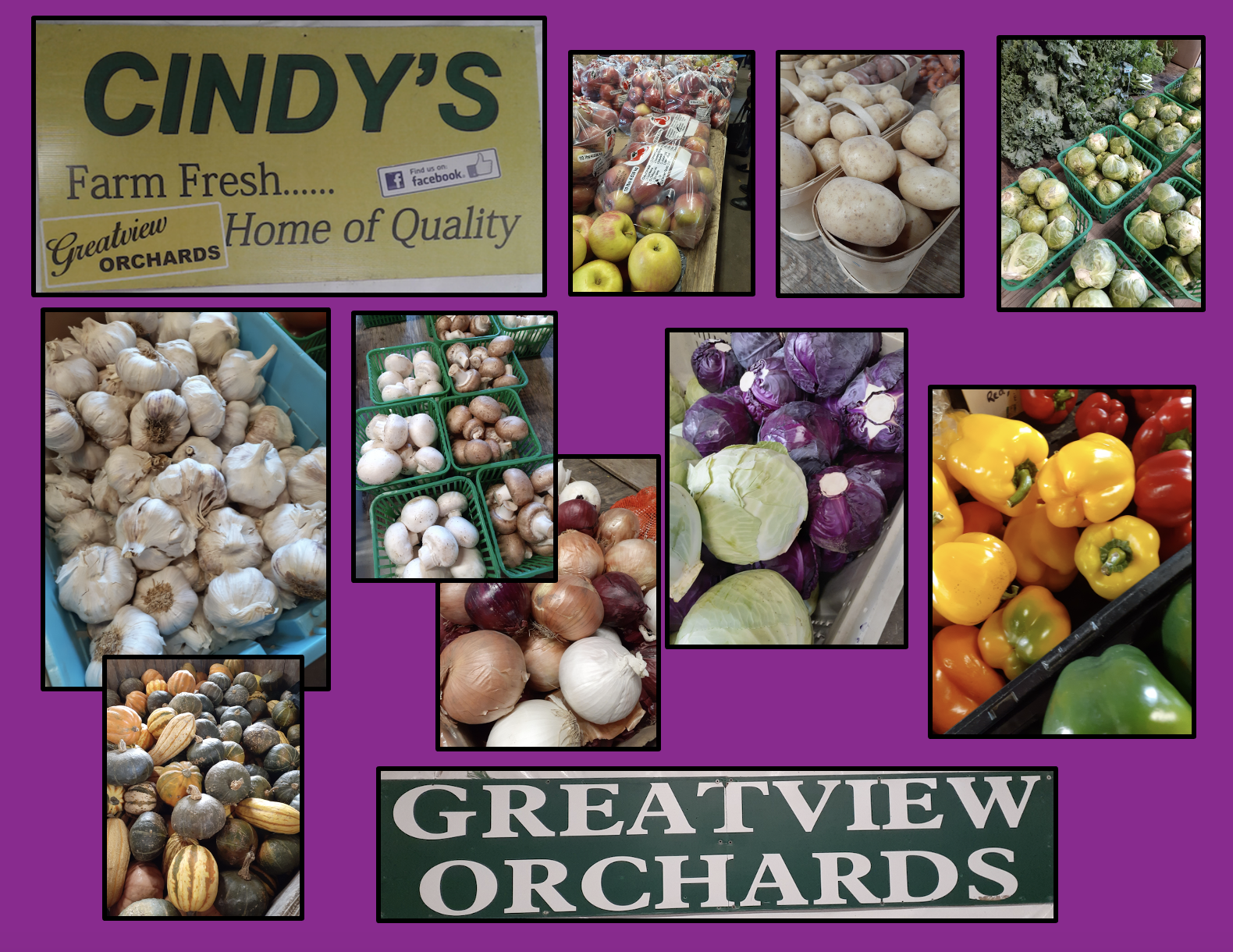 cindy's greatview orchard landscape jpeg