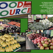 food source compilation photo