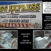 egg express composite 2025