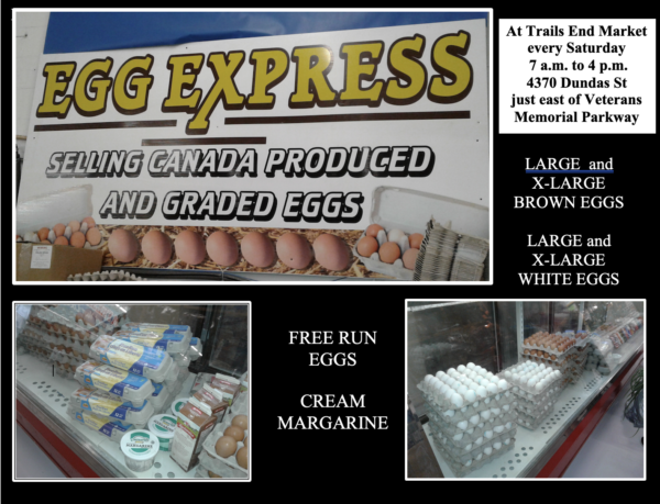 egg express composite 2025