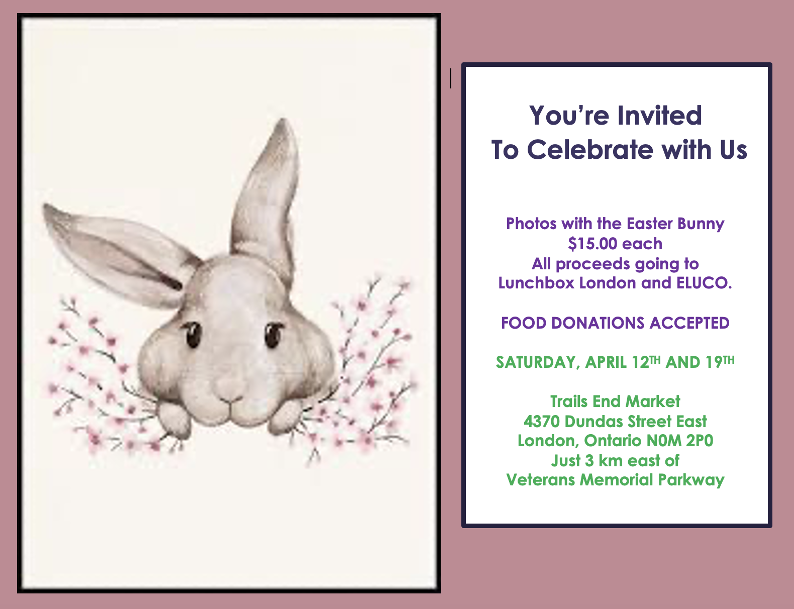 easter photos