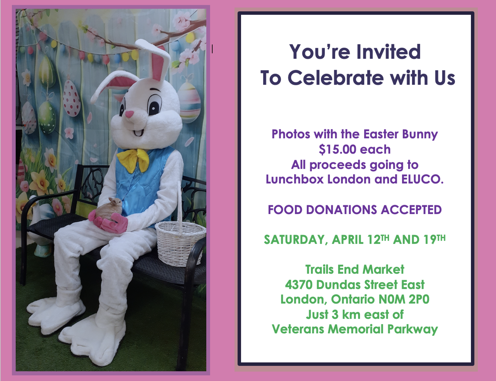 bunny post april 17 2025