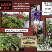 FLOWERS LOCAL HERBS 2025