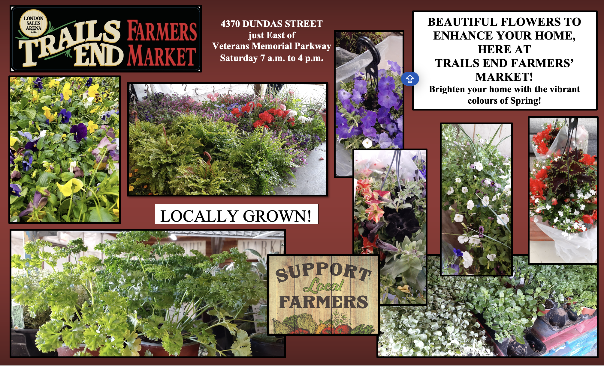 FLOWERS LOCAL HERBS 2025