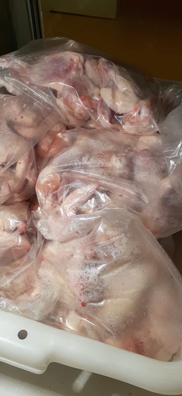 halal meat chicken