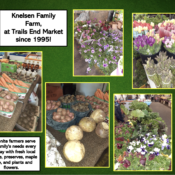 knelsen family farm