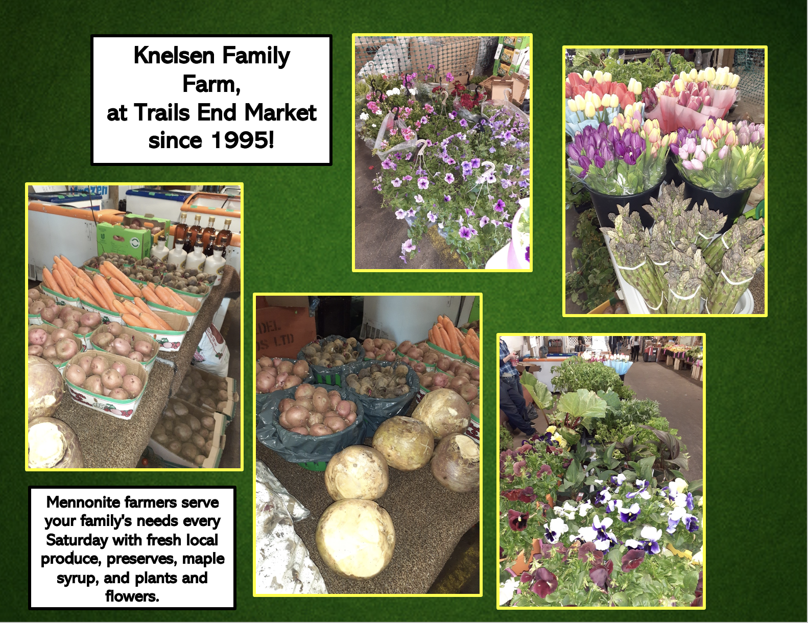 knelsen family farm