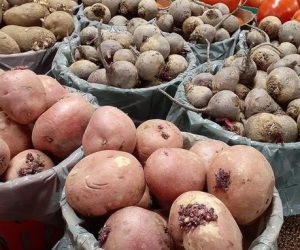 family farm london ontario | family farm market london ontario | farmer market london ontario | local farm market london ontario | local farmer market london ontario