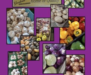 cindy's farm fresh