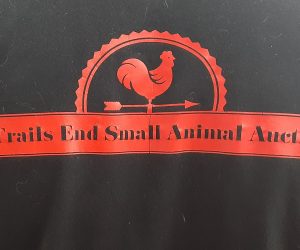 20230701 130927