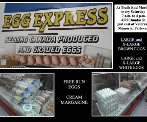 egg express composite 2025