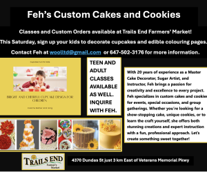 feh's custom cakes and cookies classes